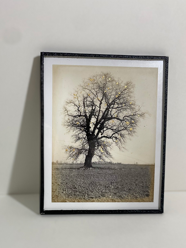 Polaroid et feuilles d'or sous verre 132x107mm